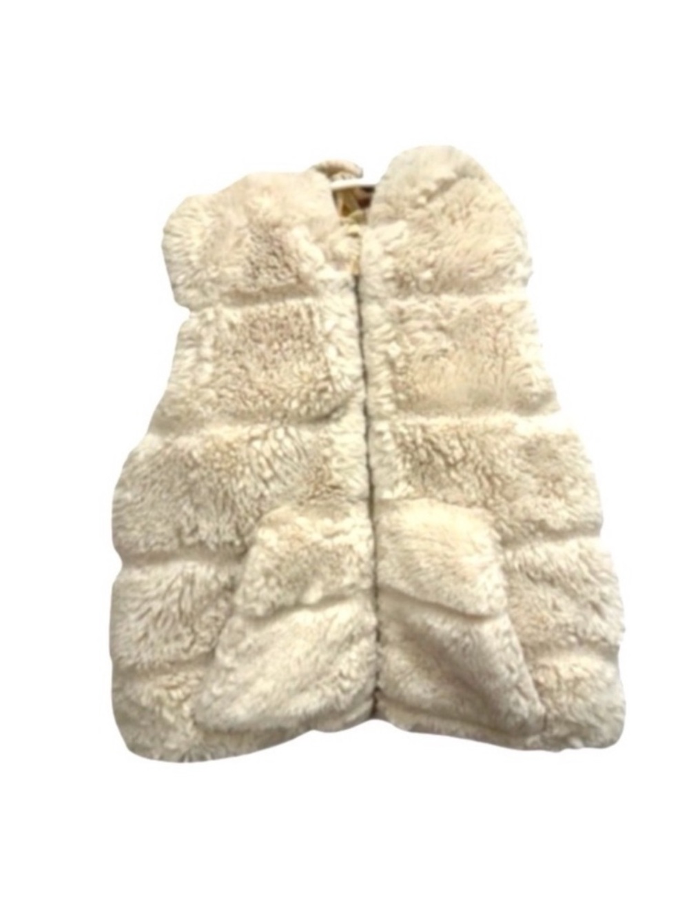 Fur Zara Vest with Hood